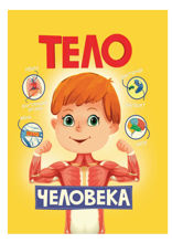 Тело человека