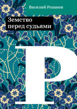 Земство перед судьями