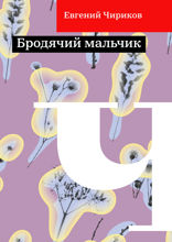 Бродячий мальчик