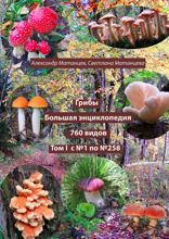 Грибы. Большая энциклопедия. 760 видов. Том I. С №1 по №258