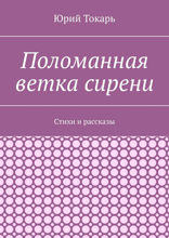 Поломанная ветка сирени. Стихи и рассказы