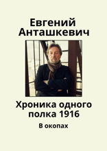 Хроника одного полка&nbsp;1916. В окопах