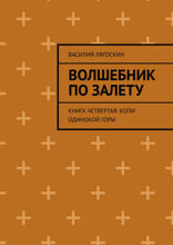 Волшебник по залету. Книга 4. Копи Одинокой горы