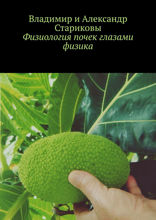 Физиология почек глазами физика