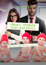 Мышка. Тройное чудо для босса. Одна ночь. Две полоски. Три чуда