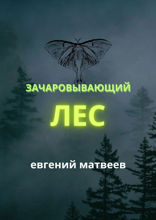 Зачаровывающий лес