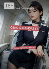 Секс в самолёте