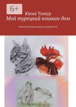 Мой турецкий кошкин дом