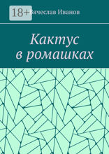 Кактус в ромашках
