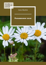 Ромашковое поле