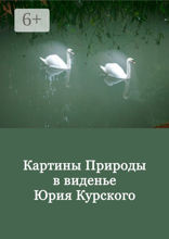 Картины Природы в виденьи Юрия Курского