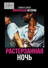 Эротические истории. Растерзанная ночь