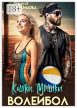 Кошки. Мышки. Волейбол