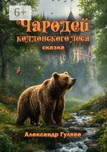Чародей колдовского леса