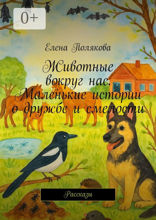 Животные вокруг нас. Маленькие истории о дружбе и смелости