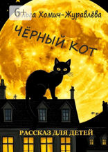 Чёрный кот
