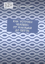 Как устроен человек: от макушки до пяток