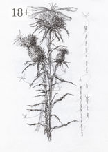 Мальчик и&nbsp;фея