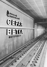 Серая ветка. Фотоповесть