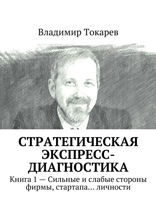 Стратегическая экспресс-диагностика. Книга 1 — Сильные и слабые стороны фирмы, стартапа… личности