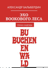 Эхо Bookового леса. Роман-надежда