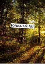 Волшебный лес