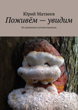 Поживём — увидим. По дневникам путешественника