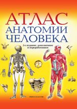 Атлас анатомии человека
