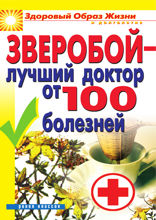Зверобой - лучший доктор от 100 болезней