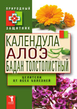 Календула, алоэ и бадан толстолистный - целители от всех болезней