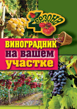 Виноградник на вашем участке