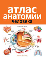 Атлас анатомии человека