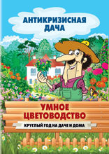 Умное цветоводство круглый год на даче и дома