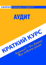 Аудит. Краткий курс