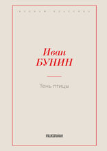 Тень птицы