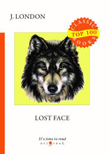 Lost Face