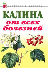 Калина от всех болезней