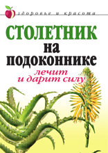 Столетник на подоконнике. Лечит и дарит силу