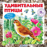 Аудиоэнциклопедия. Удивительные птицы