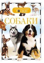 Собаки