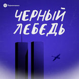 Черный лебедь — 4