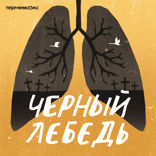 Черный лебедь — 5