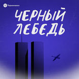 5. Бой с тенью