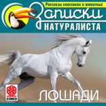 Лошади