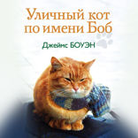 Уличный кот по имени Боб. Как человек и кот обрели надежду на улицах Лондона