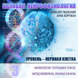 Физиология. Потенциал покоя, заряд мембраны, ионные каналы