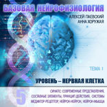 Синапс