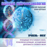 Проводящие пути ГМ, ретикулярная формация. Ассоциативная деятельность ГМ