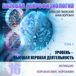 Мотивация. Нейроанатомия, нейрохимия