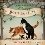 Книга 2. Огонь и лед